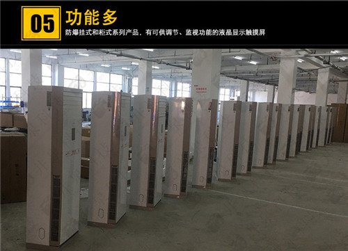 風(fēng)力發(fā)電廠(chǎng)防爆空調機案例圖