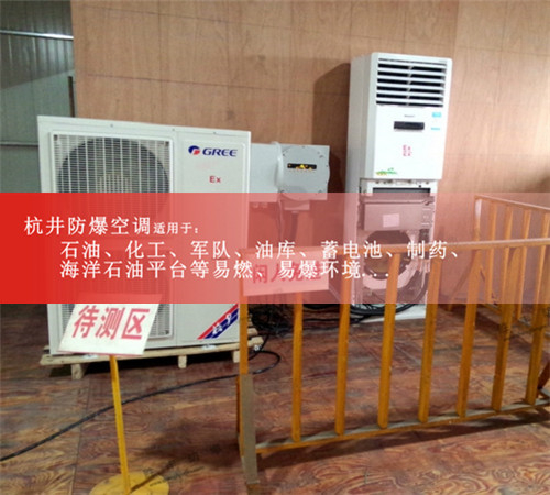 化工廠(chǎng)防爆空調案例展示