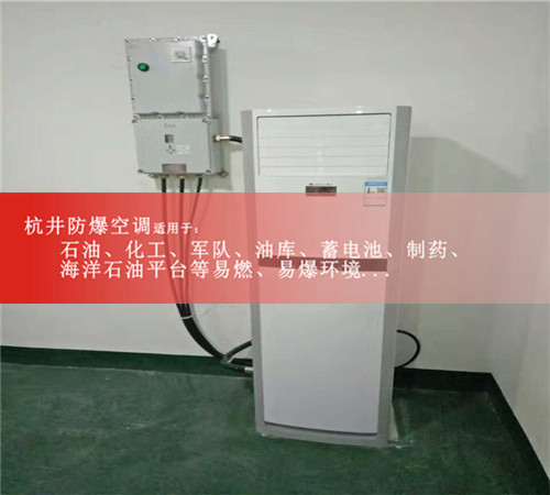 粉塵車(chē)間防爆空調案例展示