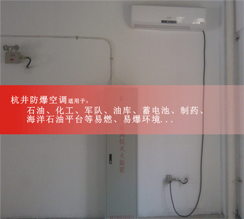 風(fēng)力發(fā)電廠(chǎng)防爆空調案例圖